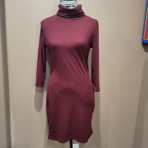 Burgundy Rib Knit Bodycon Turtleneck Dress